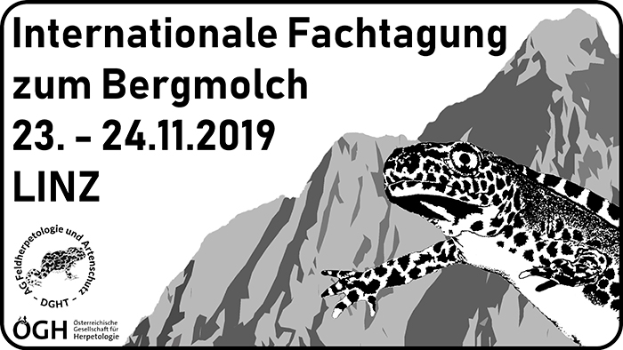 Bergmolch Tagung Linz 2019